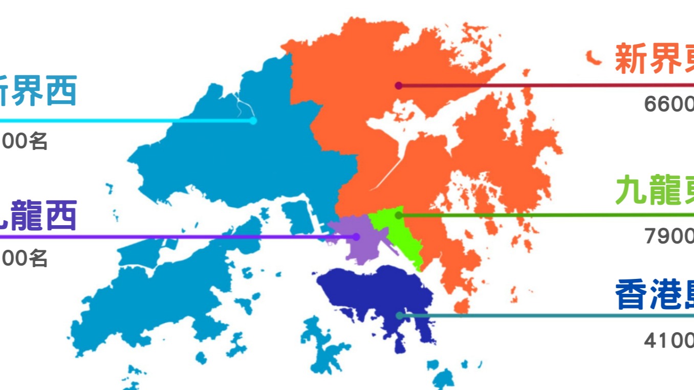 Demographics of Individual with Intellectual Disabilities in Hong Kong